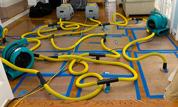 Professional Crawl Space Water Removal technician working in Dallas, NC
